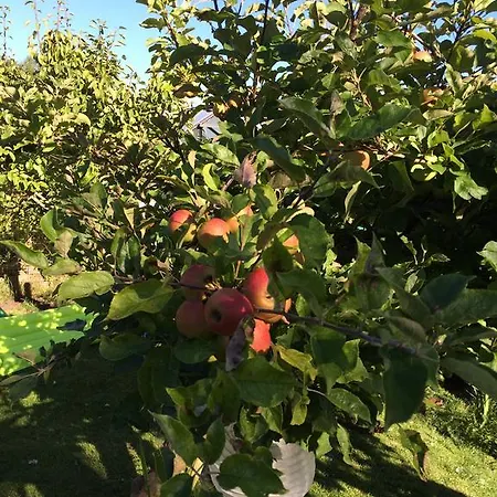 Apartmán Studio Lakeside Spiegelplas Nederhorst den Berg