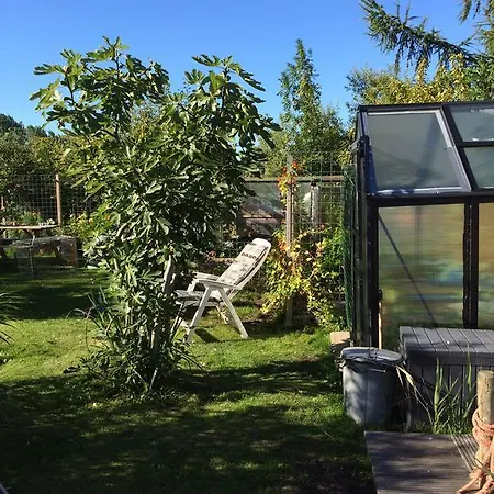 Studio Lakeside Spiegelplas