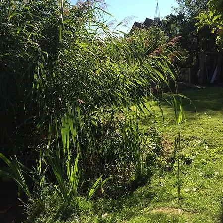 Apartment Lakeside Spiegelplas *