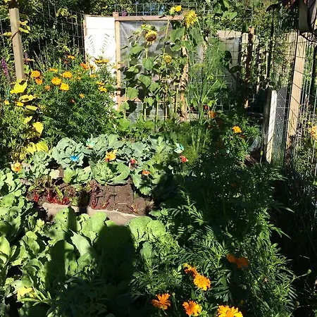 Lakeside Spiegelplas Apartment *