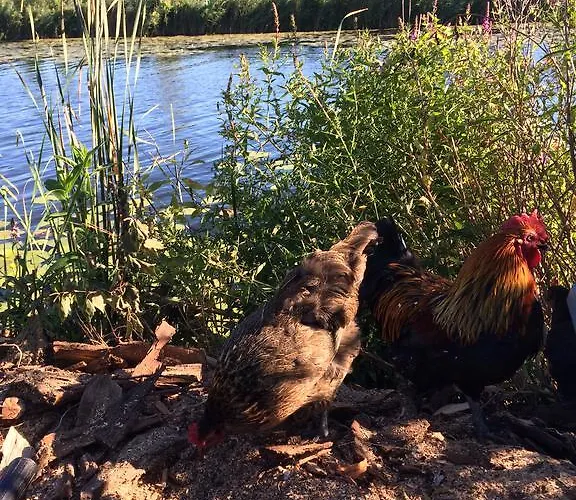 דירה Lakeside Spiegelplas