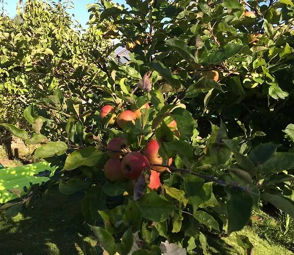 דירה Lakeside Spiegelplas Nederhorst den Berg
