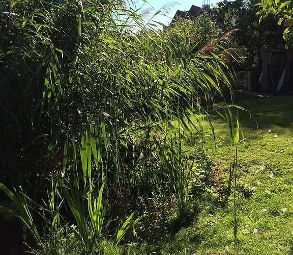 דירה Lakeside Spiegelplas *