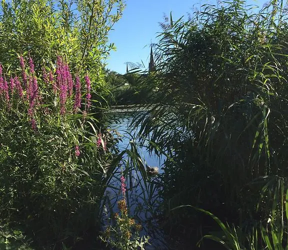 Lakeside Spiegelplas