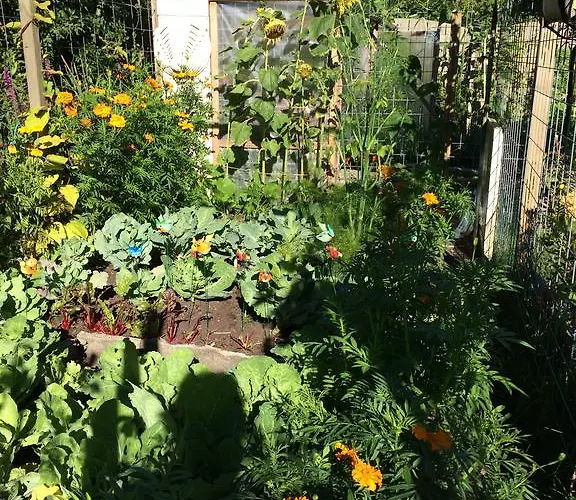 Lakeside Spiegelplas דירה *