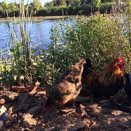 Apartamento Lakeside Spiegelplas