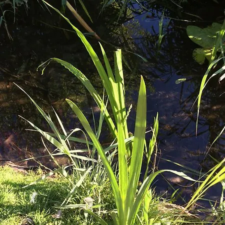 Lakeside Spiegelplas Nederhorst den Berg